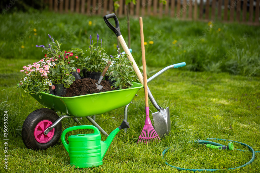 Gardening tools, plants and a wheelbarrow in a garden